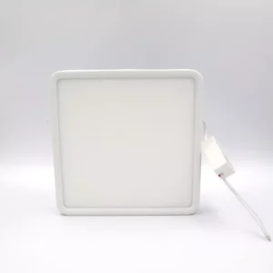 den panel op noi 1